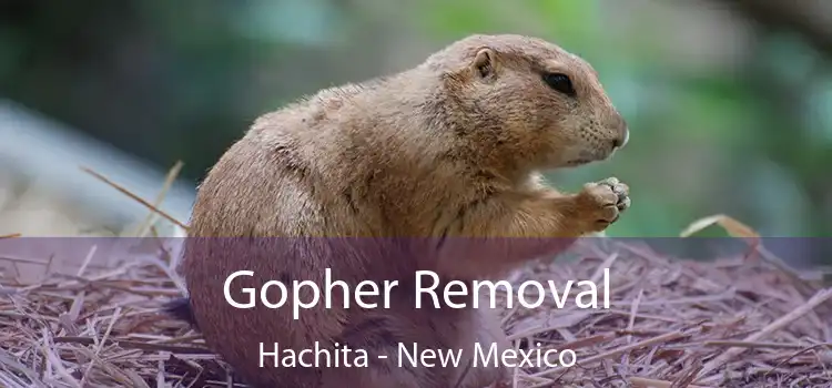 Gopher Removal Hachita - New Mexico