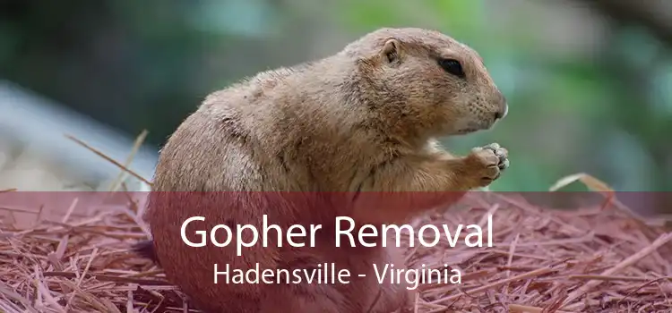 Gopher Removal Hadensville - Virginia
