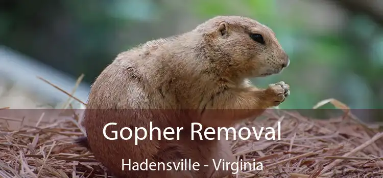 Gopher Removal Hadensville - Virginia