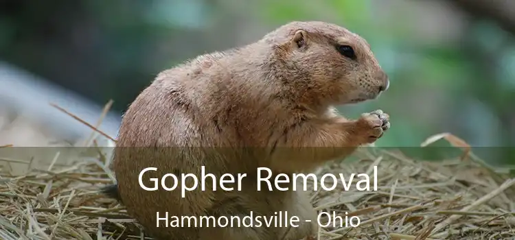 Gopher Removal Hammondsville - Ohio