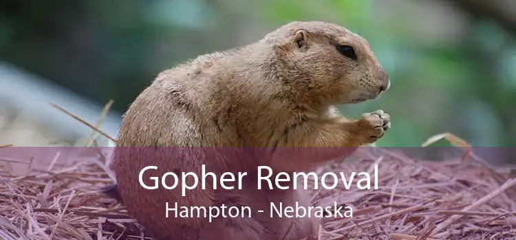 Gopher Removal Hampton - Nebraska