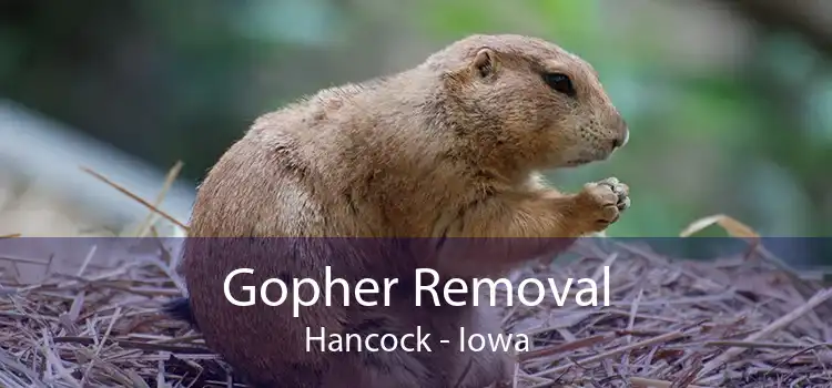 Gopher Removal Hancock - Iowa