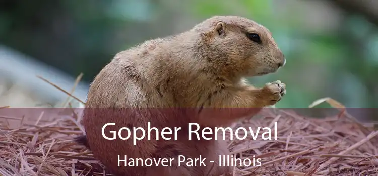 Gopher Removal Hanover Park - Illinois