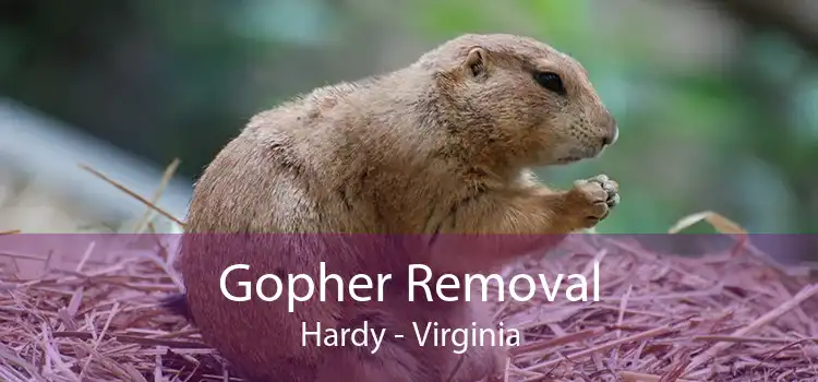 Gopher Removal Hardy - Virginia