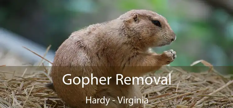 Gopher Removal Hardy - Virginia
