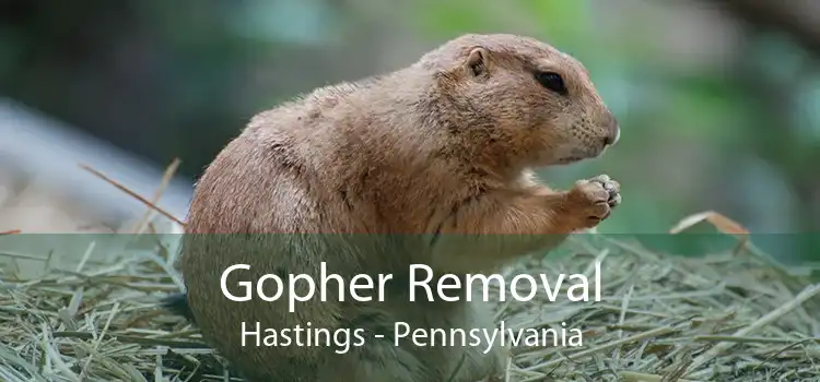 Gopher Removal Hastings - Pennsylvania