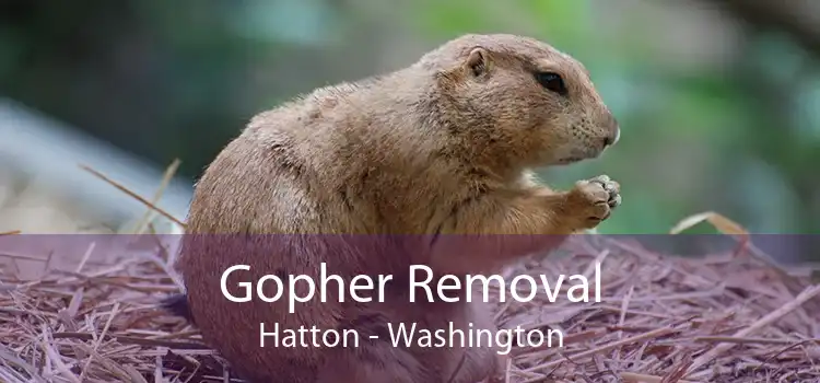 Gopher Removal Hatton - Washington