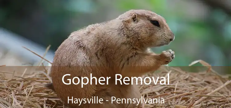 Gopher Removal Haysville - Pennsylvania