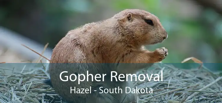 Gopher Removal Hazel - South Dakota