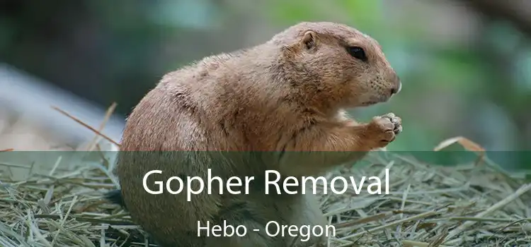 Gopher Removal Hebo - Oregon