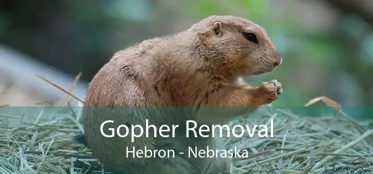 Gopher Removal Hebron - Nebraska