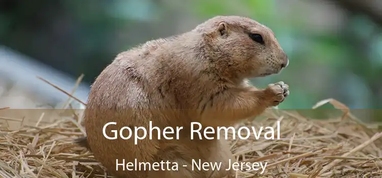 Gopher Removal Helmetta - New Jersey