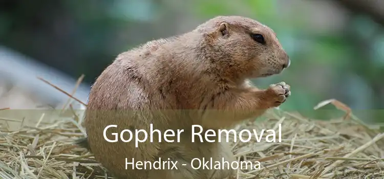 Gopher Removal Hendrix - Oklahoma