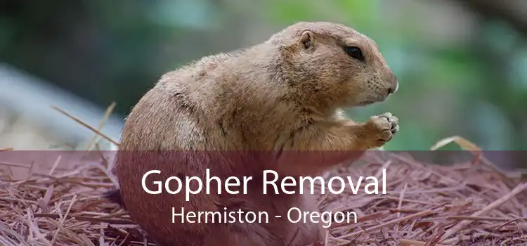 Gopher Removal Hermiston - Oregon