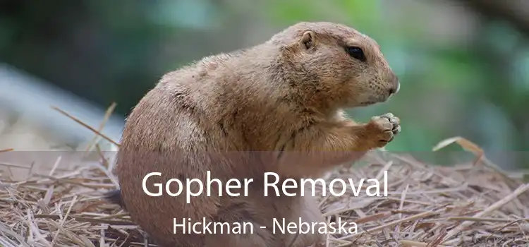 Gopher Removal Hickman - Nebraska