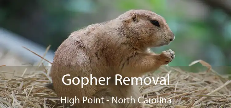 Gopher Removal High Point - North Carolina