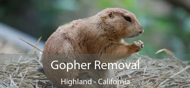 Gopher Removal Highland - California