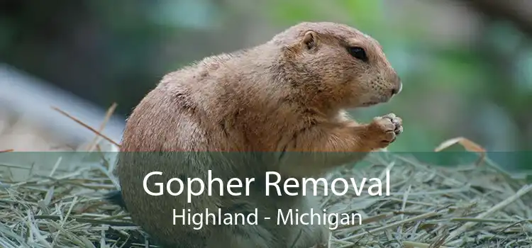 Gopher Removal Highland - Michigan
