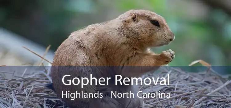 Gopher Removal Highlands - North Carolina