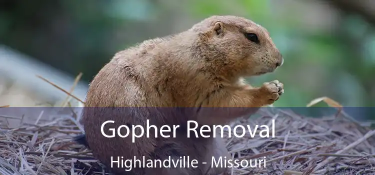 Gopher Removal Highlandville - Missouri