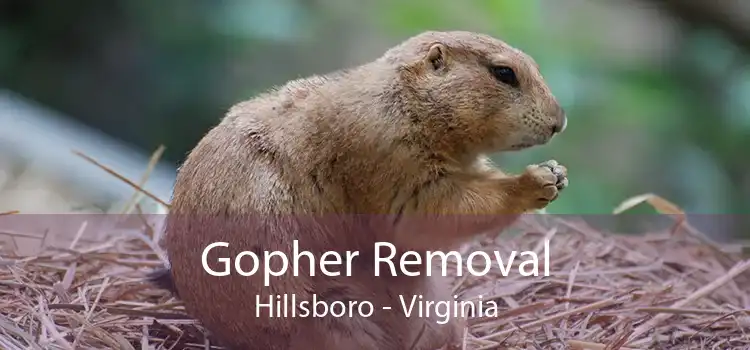 Gopher Removal Hillsboro - Virginia