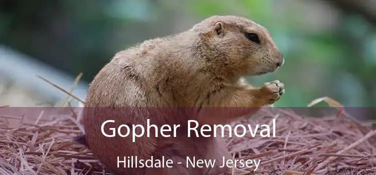 Gopher Removal Hillsdale - New Jersey