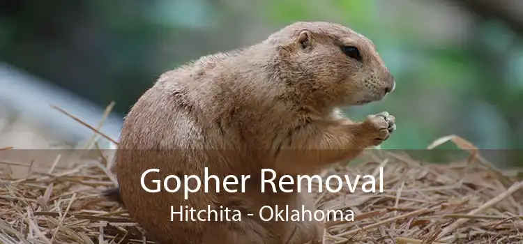 Gopher Removal Hitchita - Oklahoma