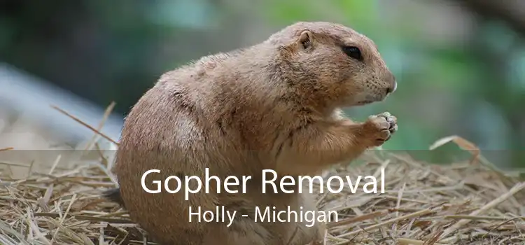 Gopher Removal Holly - Michigan