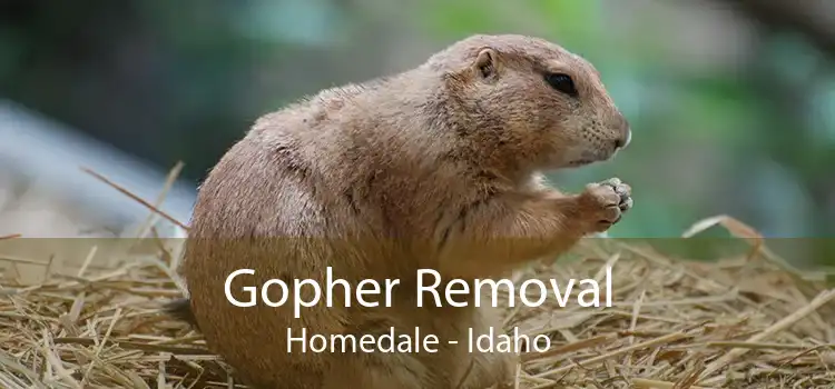 Gopher Removal Homedale - Idaho