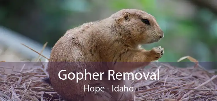 Gopher Removal Hope - Idaho