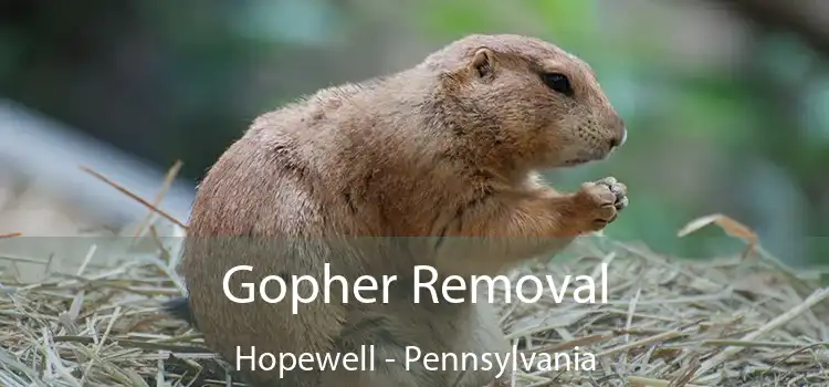 Gopher Removal Hopewell - Pennsylvania