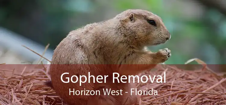 Gopher Removal Horizon West - Florida