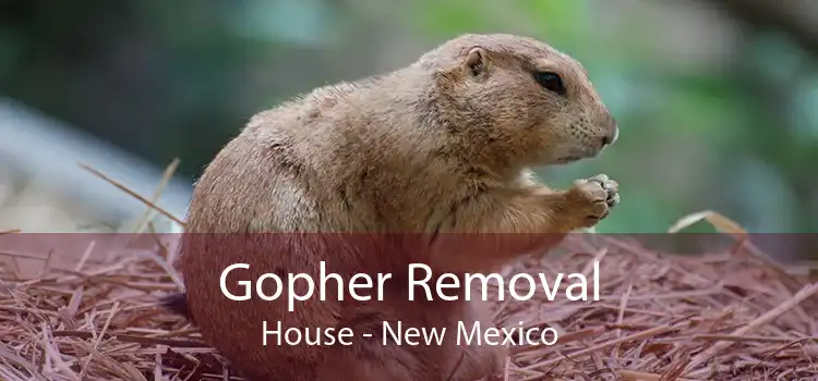 Gopher Removal House - New Mexico