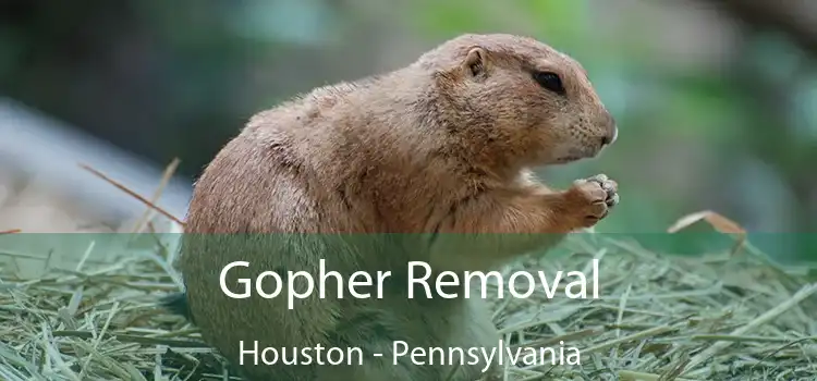 Gopher Removal Houston - Pennsylvania