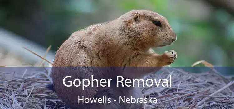 Gopher Removal Howells - Nebraska