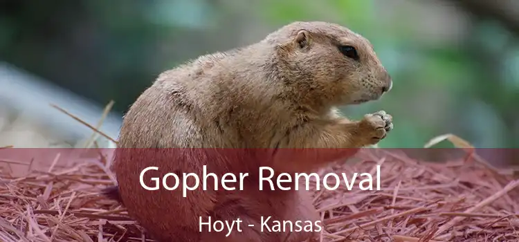 Gopher Removal Hoyt - Kansas