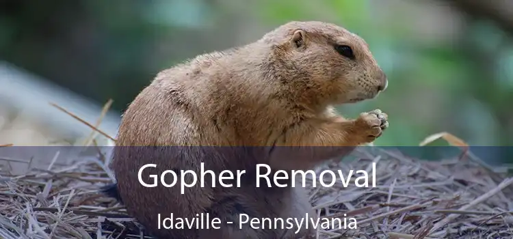 Gopher Removal Idaville - Pennsylvania