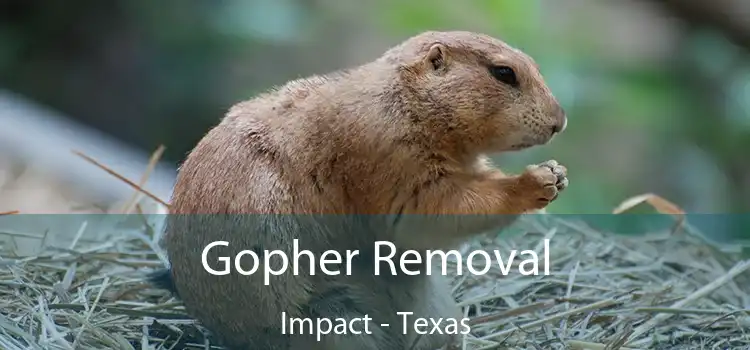 Gopher Removal Impact - Texas