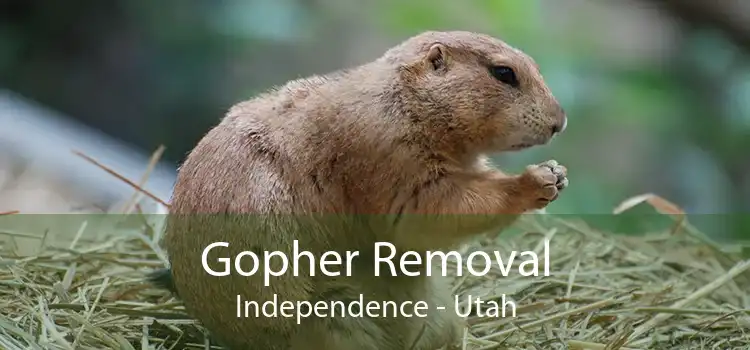 Gopher Removal Independence - Utah