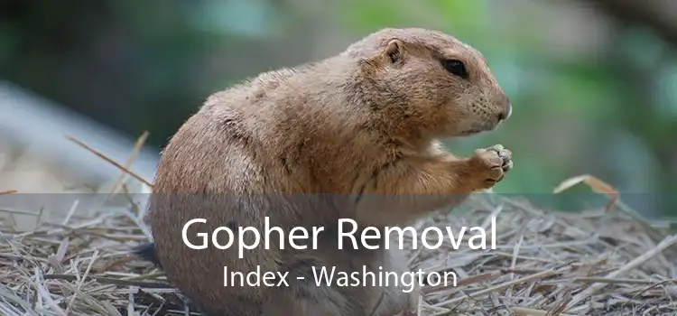 Gopher Removal Index - Washington
