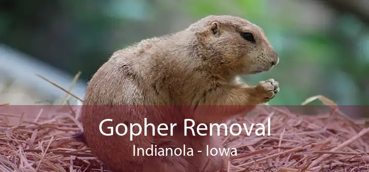 Gopher Removal Indianola - Iowa