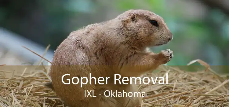 Gopher Removal IXL - Oklahoma