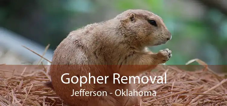 Gopher Removal Jefferson - Oklahoma