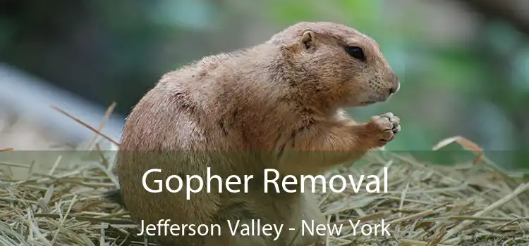 Gopher Removal Jefferson Valley - New York