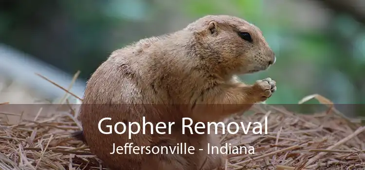Gopher Removal Jeffersonville - Indiana