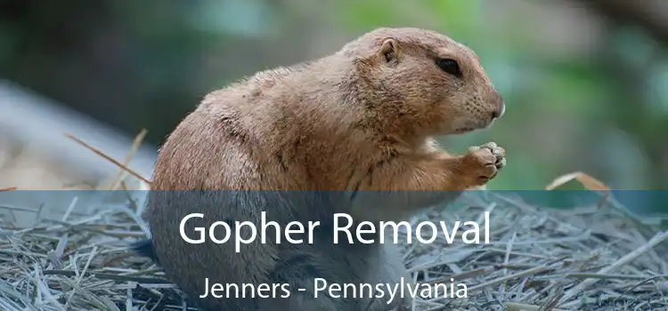 Gopher Removal Jenners - Pennsylvania