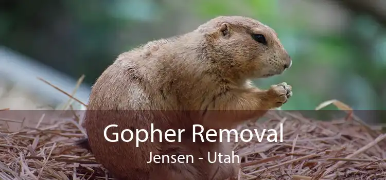 Gopher Removal Jensen - Utah
