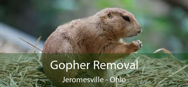 Gopher Removal Jeromesville - Ohio