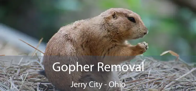 Gopher Removal Jerry City - Ohio