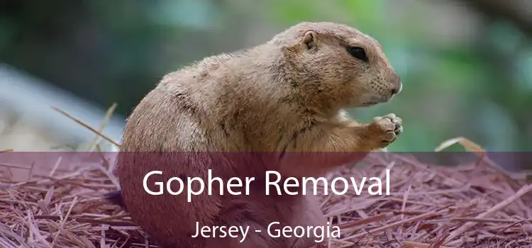 Gopher Removal Jersey - Georgia